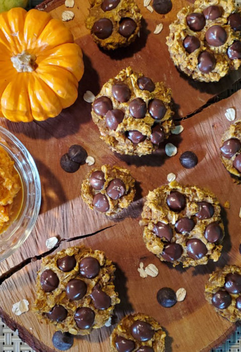 healthy chocolate chip pumpkin muffins