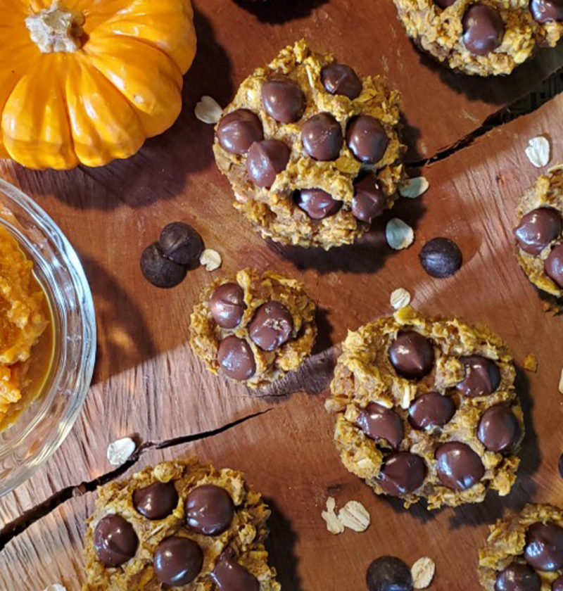 healthy chocolate chip pumpkin muffins